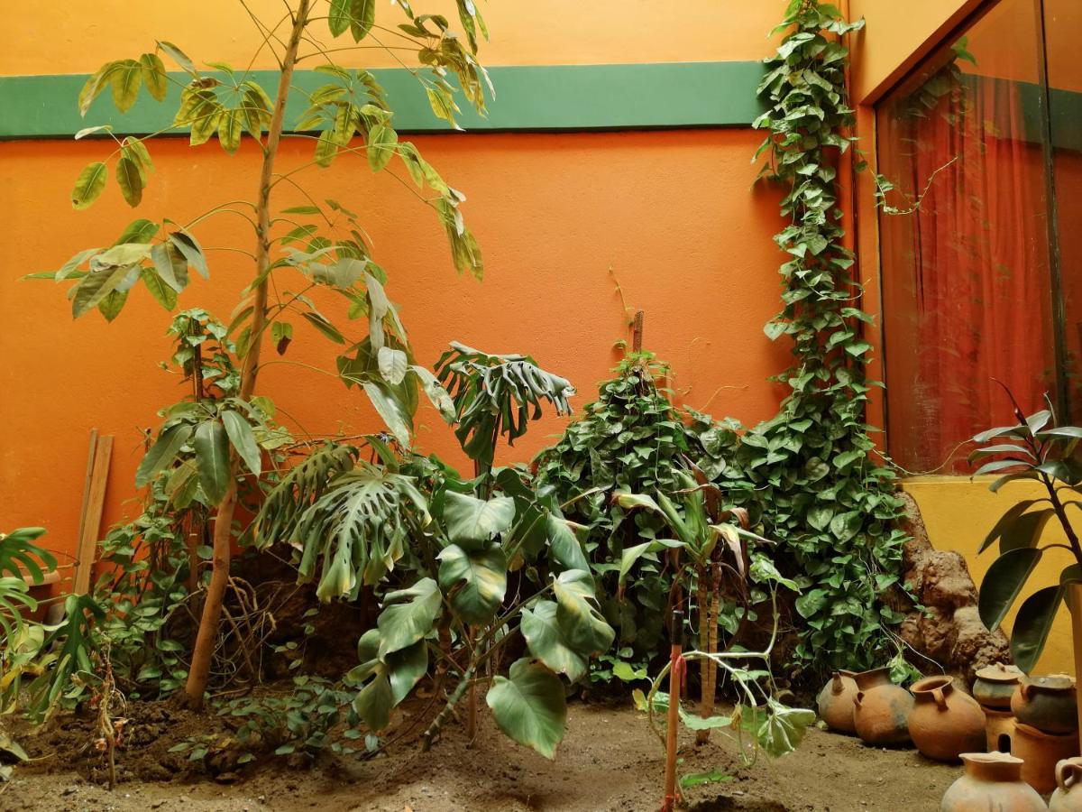 Olas Del Titicaca Backpackers Hostel Copacabana  Exterior foto